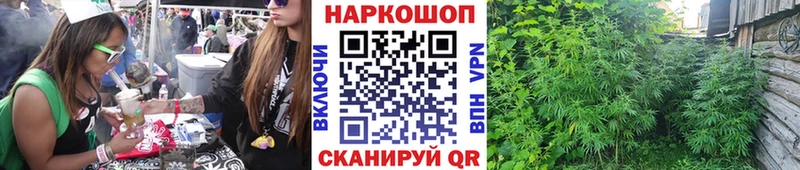 Виды наркотиков купить Краснослободск Амфетамин  А ПВП  Меф мяу мяу  Кокаин  Гашиш 