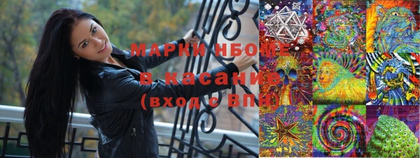 сатива Арсеньев