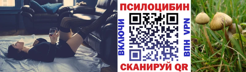 Псилоцибиновые грибы GOLDEN TEACHER  ОМГ ОМГ tor  это клад  Краснослободск 